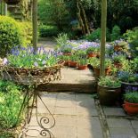 Zapraszamy kwiaty do ogrodu