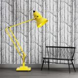 Zdjęcie: Luminosfera. Światło ma znaczenie