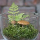 Aranżacja wnętrz zielenią