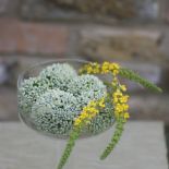 Aranżacja wnętrz zielenią