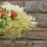 Aranżacja wnętrz zielenią