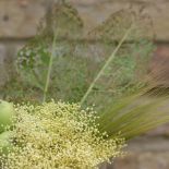 Aranżacja wnętrz zielenią