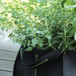 Zielnik Witamina D zrobiono z damskiej torby. Taką praktyczną dekorację można zrobić także w domu.MyBaze.com