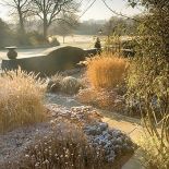 Zimą zmieniają się kolory i życie ustępuje miejsca mocnym cieniom rzucanym przez zimowe słońce i