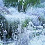 Zimowy ogród Williama Robinsona
