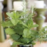 Zioła zajmują najbardziej nasłonecznione miejsce w kuchni.