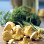 Złociste kurki w sam raz do kaczych udek.