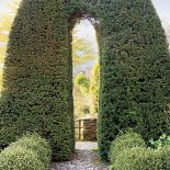 Żonkile, pierwiosnki i czosnek