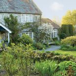 Żonkile, pierwiosnki i czosnek