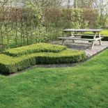 Holenderski ogród w stylu francuskim