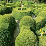 Holenderski ogród w stylu francuskim