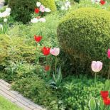 Holenderski ogród w stylu francuskim