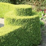 Holenderski ogród w stylu francuskim