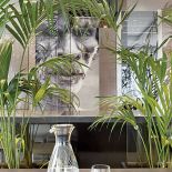 Zza liści patrzy papuaski wojownik. Inteligentny apartament