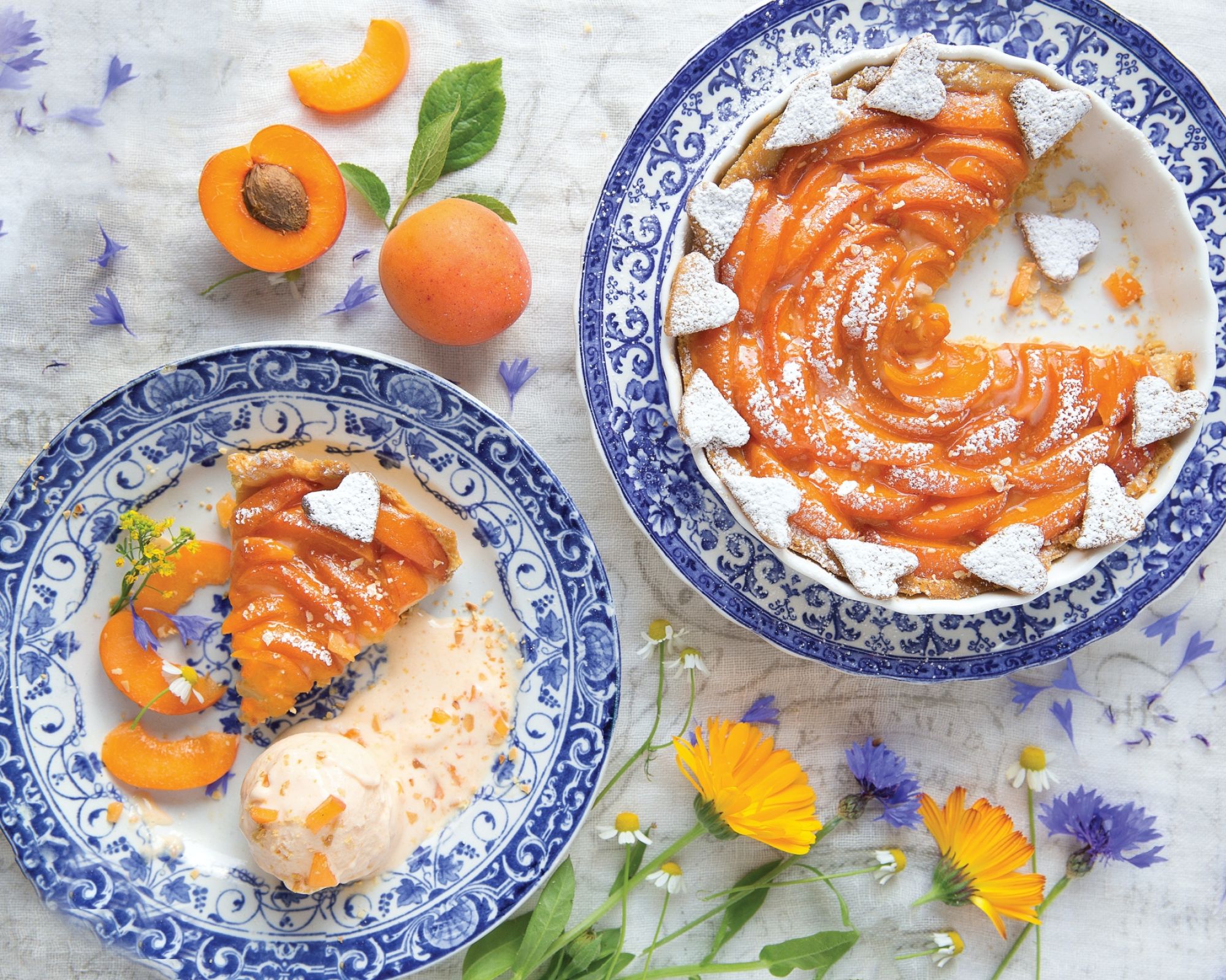 przepisy na dania z morelami