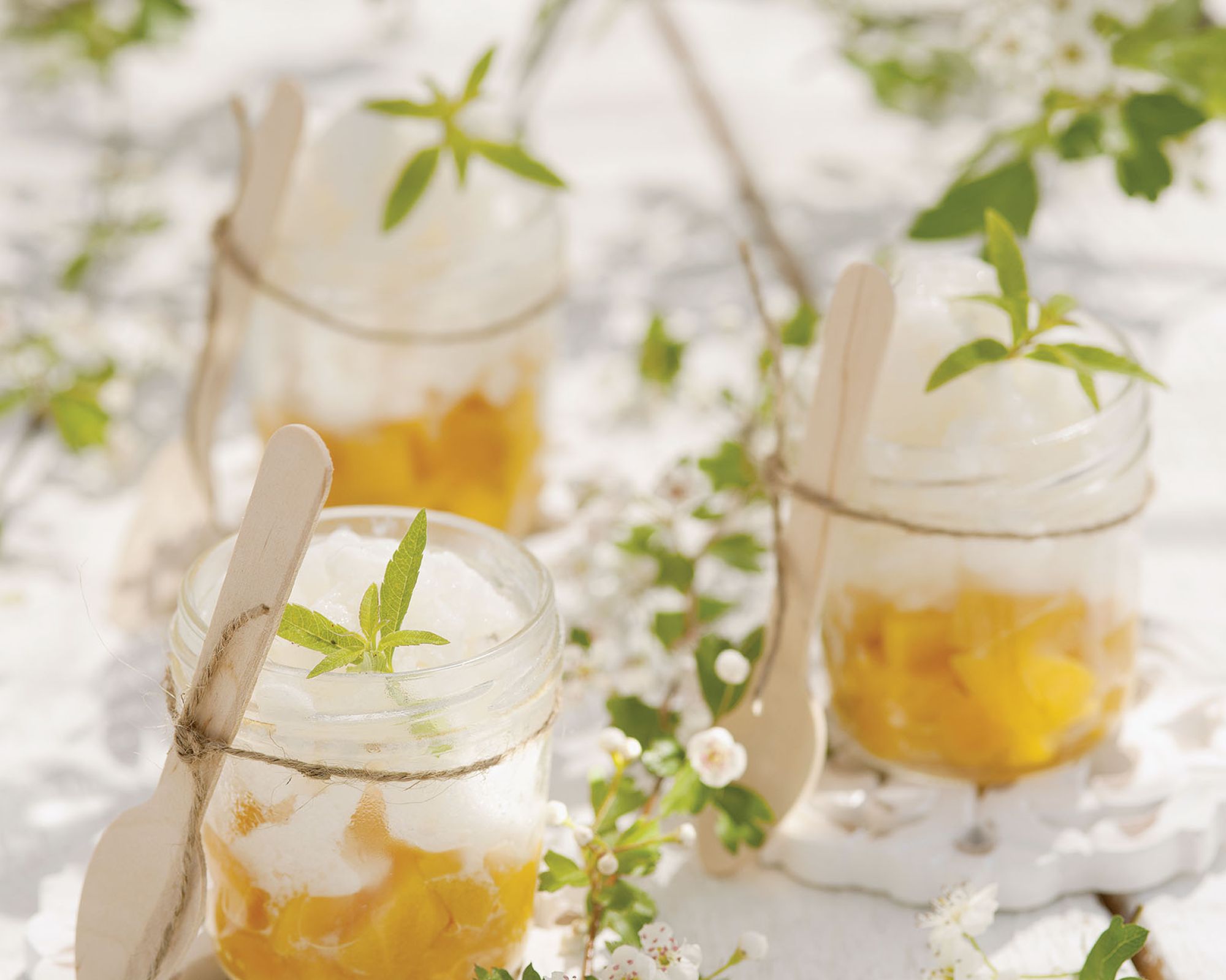 Sorbet z cytryn z brzoskwiniami