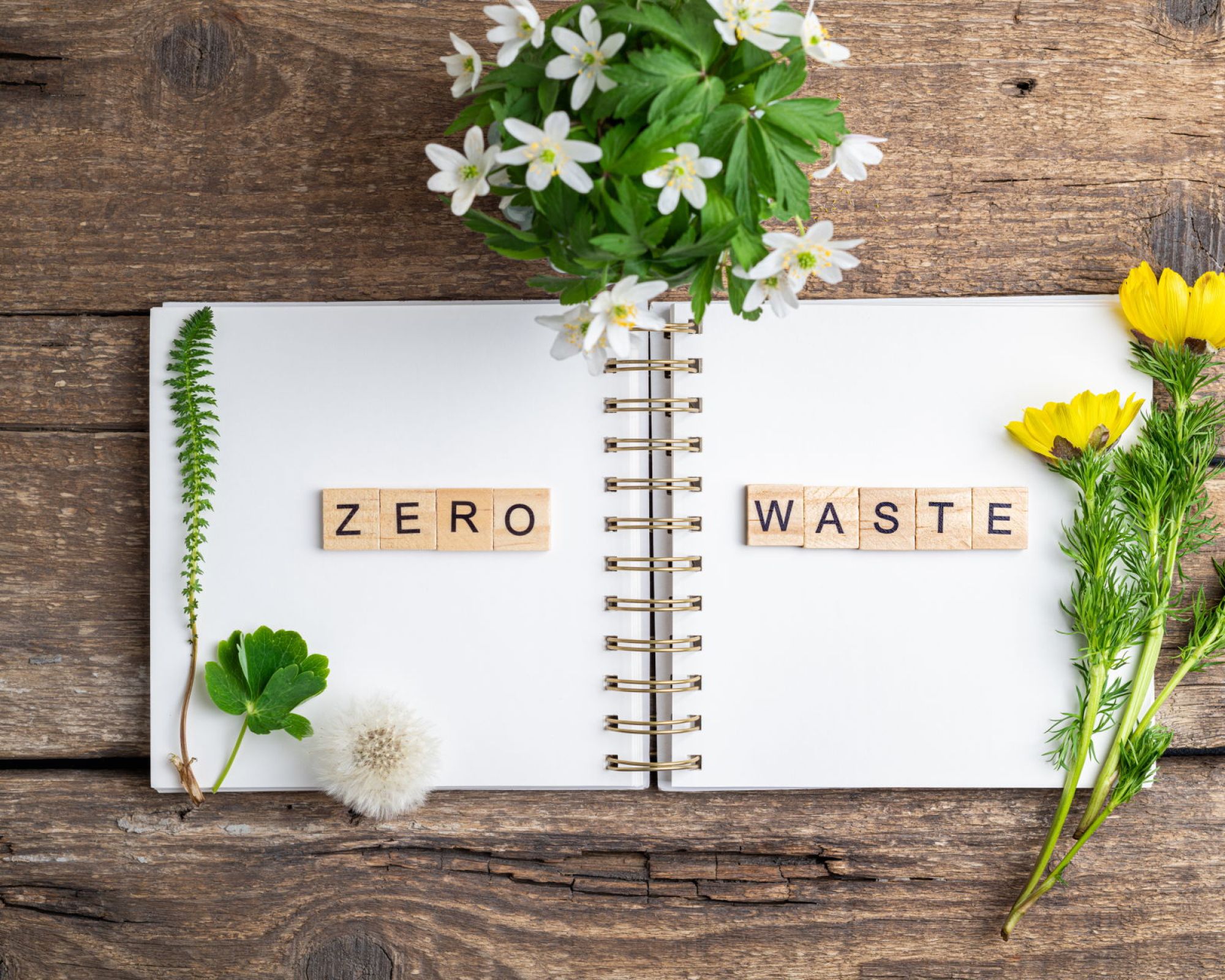 zero waste w domu