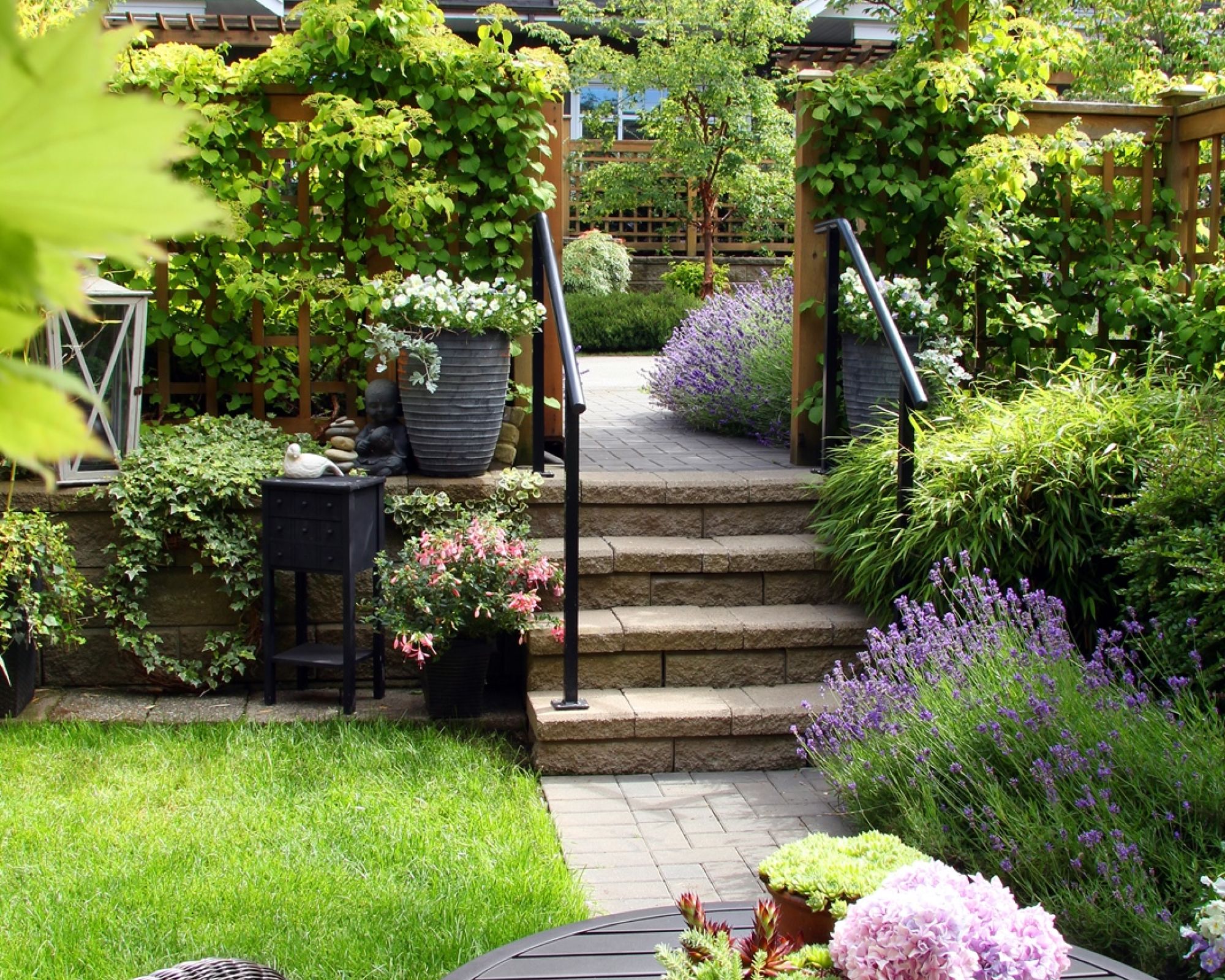 jak pozbyć się kleszczy w ogrodzie