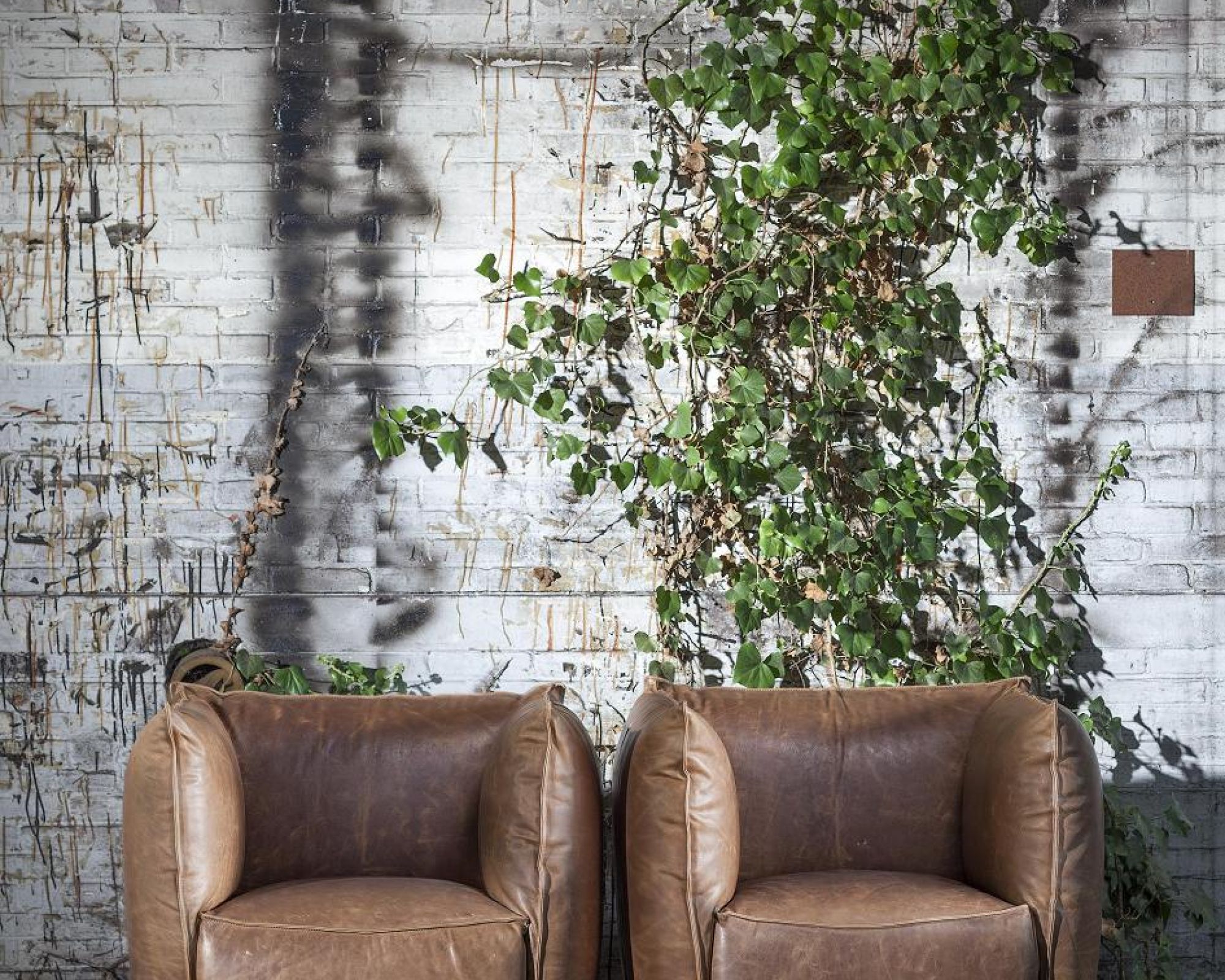 Klasyczne fotele w nowej formie. Klasyczne fotele w nowej formie