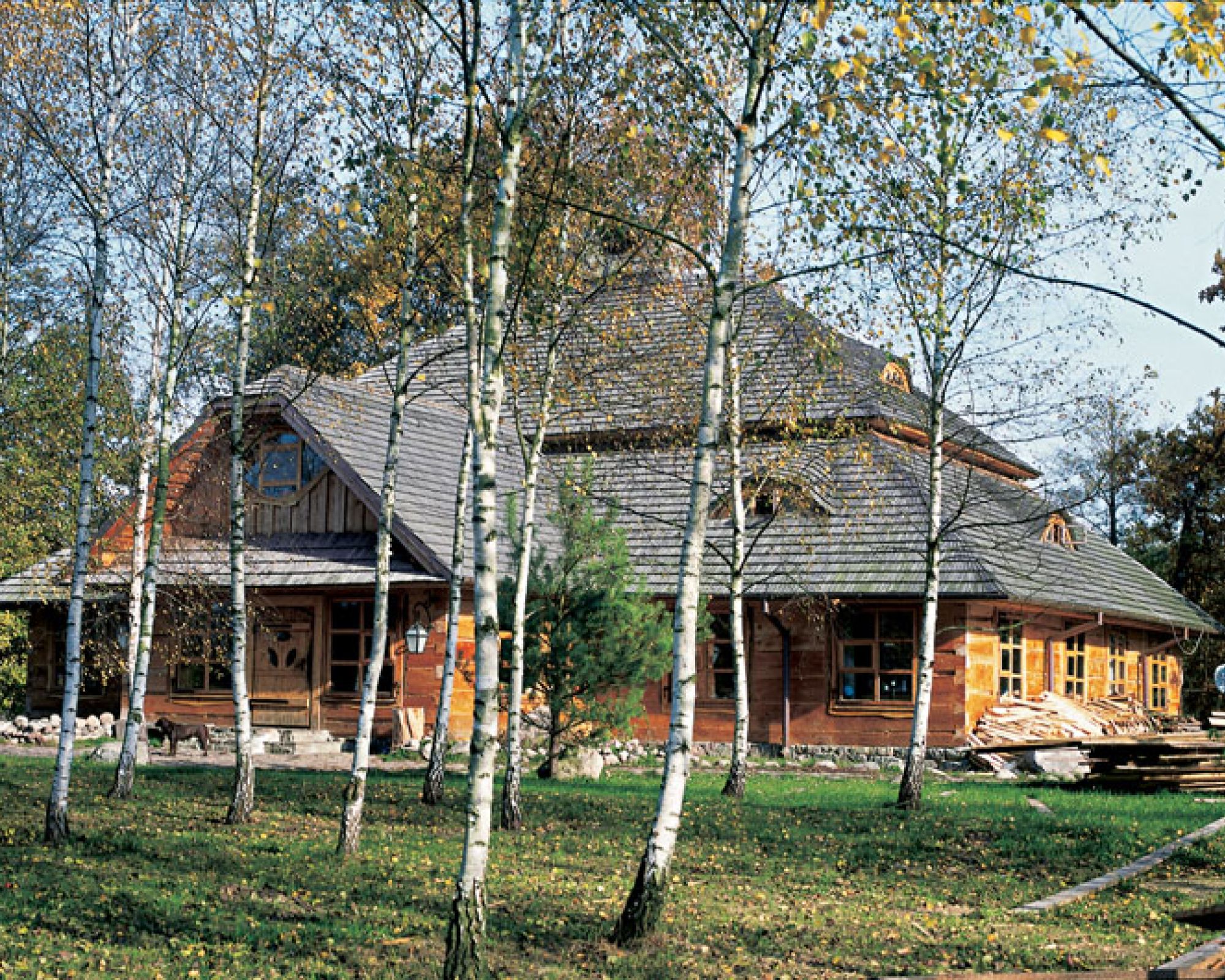 Naj­pierw mię­dzy dwo­ma brzo­za­mi sta­nął ga­nek. Maj­ster mie­rzył go na sto­py.