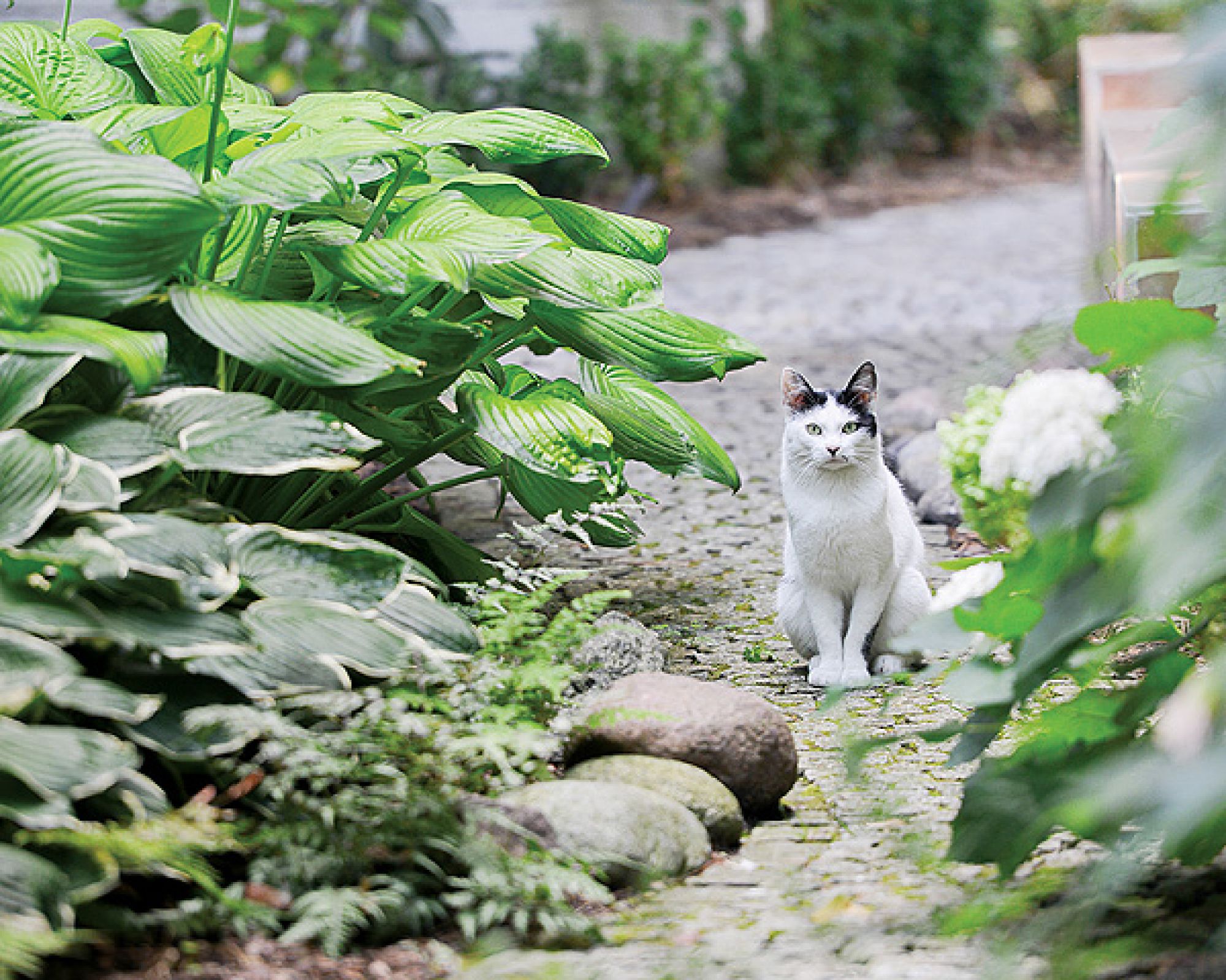 Tylko 1200 metrów kwadratowych i aż tyle. W wielkich miastach rzadko trafiają się podobne ogrody. Ten powstał w latach,