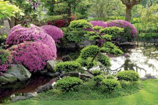 Ogród w stylu japońskim - aranżacja