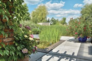 oczko wodne w ogrodzie