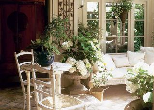 Spokojne piękno antyków