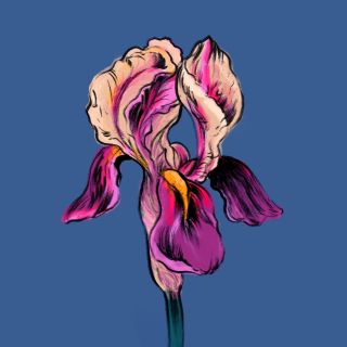 prezenty na walentynki dla niej