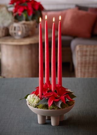 stroik adwentowy z gwiazdą betlejemską