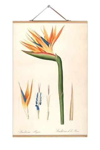 dekoracje ścienne botaniczne