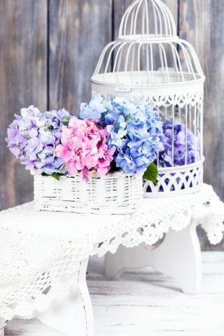 jak zrobić dekoracje z kwiatów hortensji