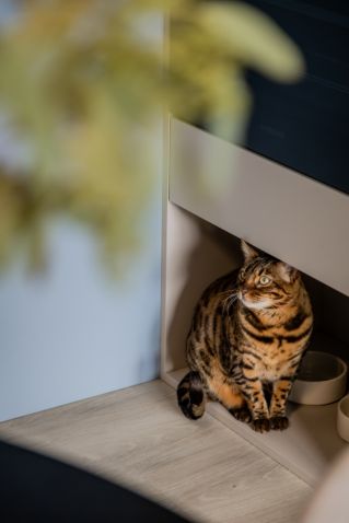 mieszkanie w beżach i błękicie