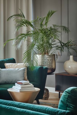 zielony salon aranżacje