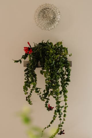 półka na doniczkę