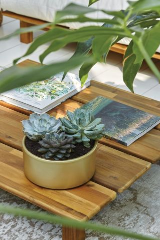 styl modern classic oranżeria