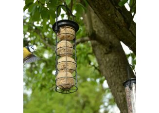 Karmnik dla ptaków na kule