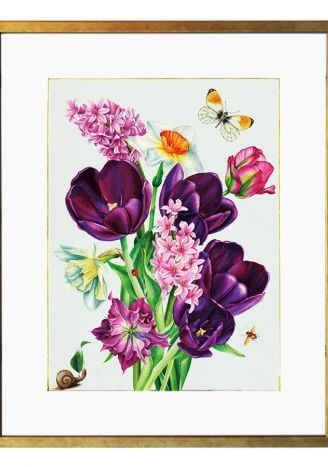 Ilustracja tulipany - Kolekcja Werandy