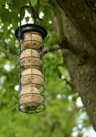 Karmnik dla ptaków na kule