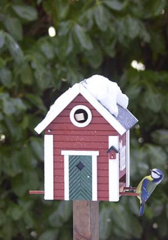 Karmnik dla ptaków i budka lęgowa w kolorze bordowym