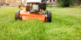 pierwsze koszenie trawy po zimie