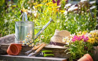 rośliny ogrodowe które przetrwają upał i suszę