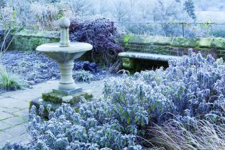 zimowy ogród Williama Robinsona