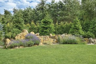 śródziemnomorski skalniak