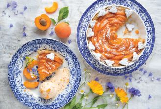 przepisy na dania z morelami