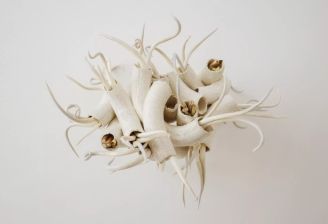 Twór w witrynie Stowarzyszenie Sztuki Użytkowej TWÓR