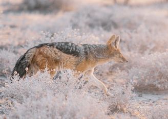 Monika Wanat fotografia