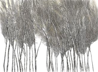 Brzozy , 2008 r. Miedzy drzewami Wiesława Szamockiego