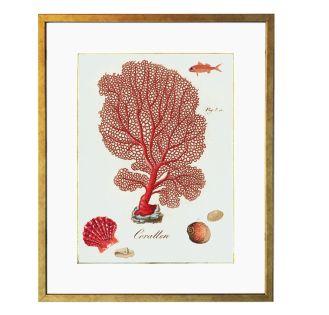 plakat grafika koralowiec