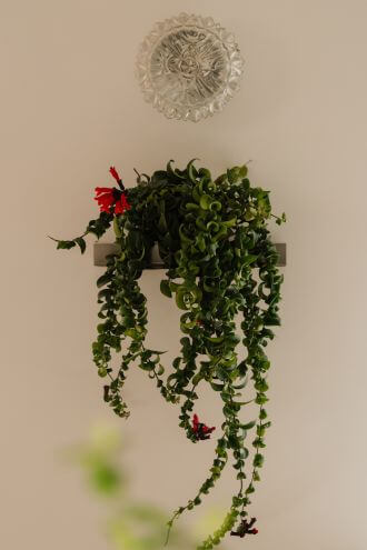 półka na doniczkę